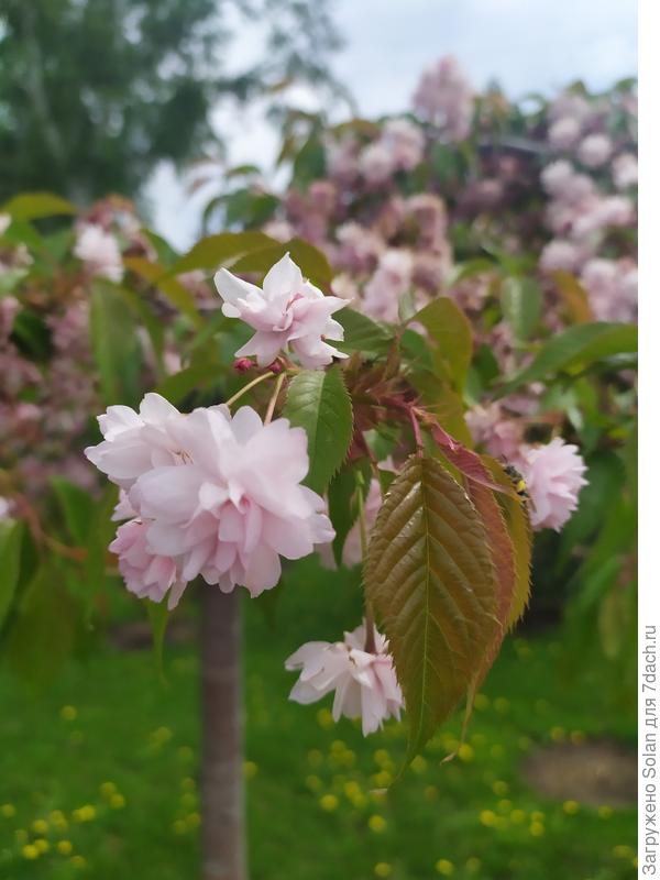 Дорогая Света! Пусть сегодня и пасмурный день, но хочу тебе послать все тепло своего сердца и от души поздравить с днем рождения! Что можно пожелать человеку, который в самое тяжелое для себя лично время находит силы, чтобы улыбнуться другому и сделать его день немного светлее и ярче? Много чего! Но сильнее всего- Светочка, пусть свет твоей души всегда и в любой ситуации помогает тебе выбраться из любых жизненных потемок! Не болей, будь счастлива, путешествий, тискай внука, наводи красоту вокруг себя на радость себе и восхищение нам))). Крепко обнимаю!