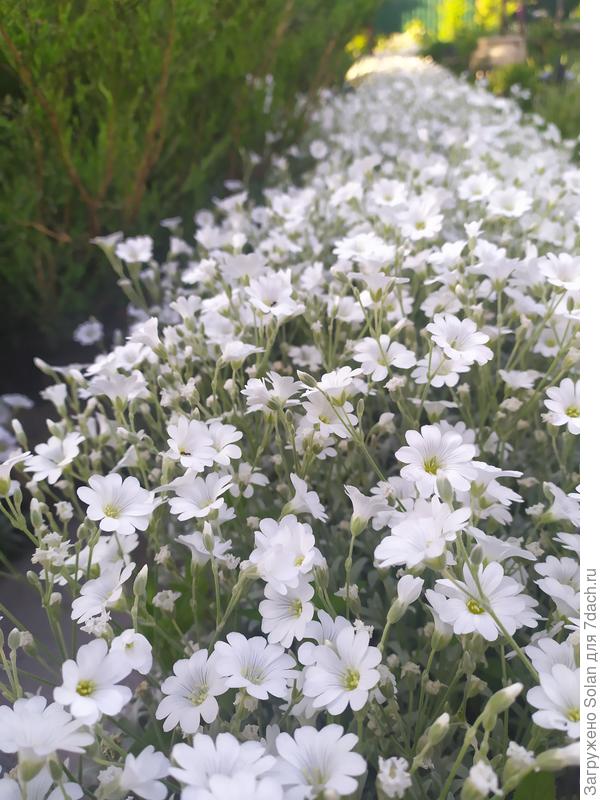 Моё утро для Вас!