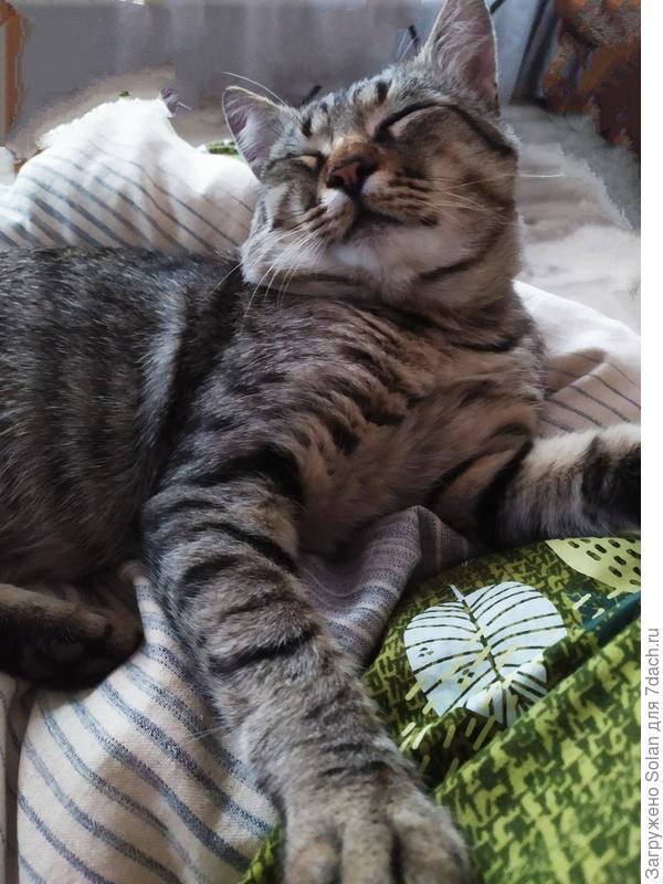 Полное мужское довольство жизнью во образе)))