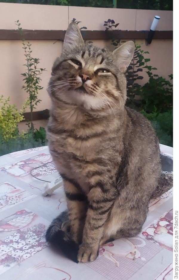 Мой самый умный, добрый и лучший. Был.