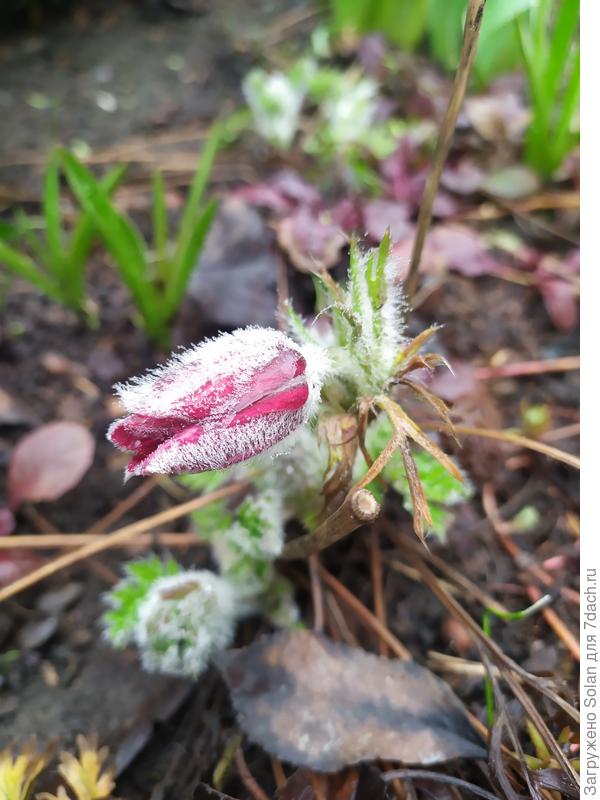 А как тут тепло не почувствовать?)