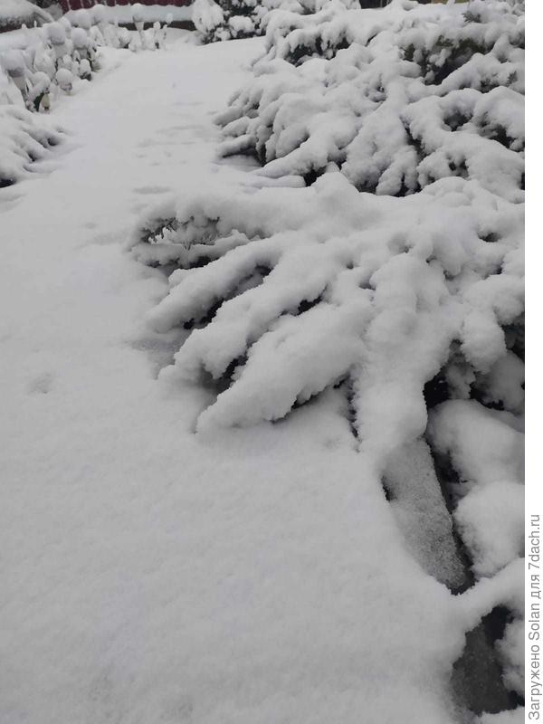 И сразу вспомнился &quot;Сказ про Федота-стрельца&quot; Филатова: &quot;Это как же, вашу мать, извиняюсь, понимать???&quot; )))