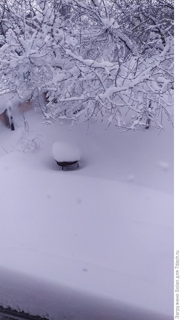 Чтобы сделать фото из окна, пришлось залезть на табуретку)))) - окно  на 2/3 залепило снегом))