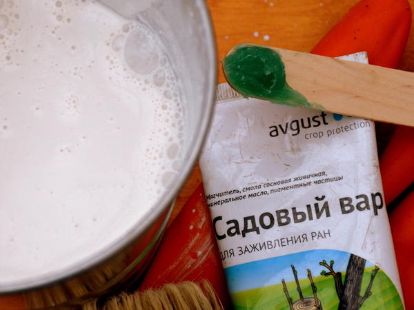 Садовый вар и известь Садовый вар и известь