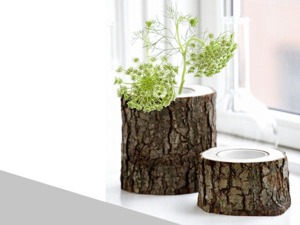 Спил бревна тоже может стать отличным кашпо. Фото с сайта http://www.edilportale.com