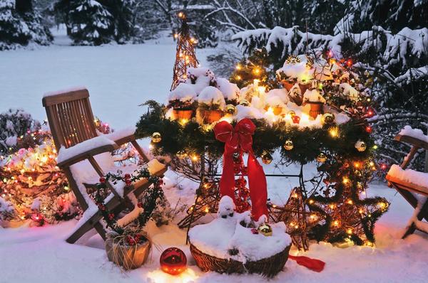 Новый год в саду