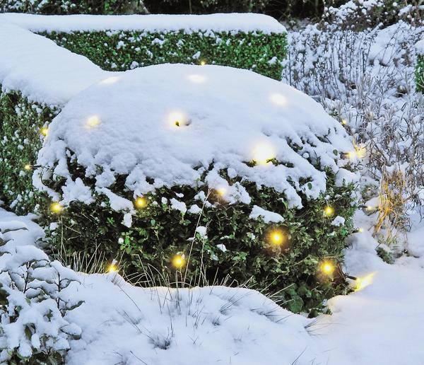 Заснеженный куст &amp;amp;amp;amp;amp;amp;amp;amp;amp;amp;amp;laquo;укутайте&amp;amp;amp;amp;amp;amp;amp;amp;amp;amp;amp;raquo; гирляндой из фонариков, и он превратится в сказочный объект.