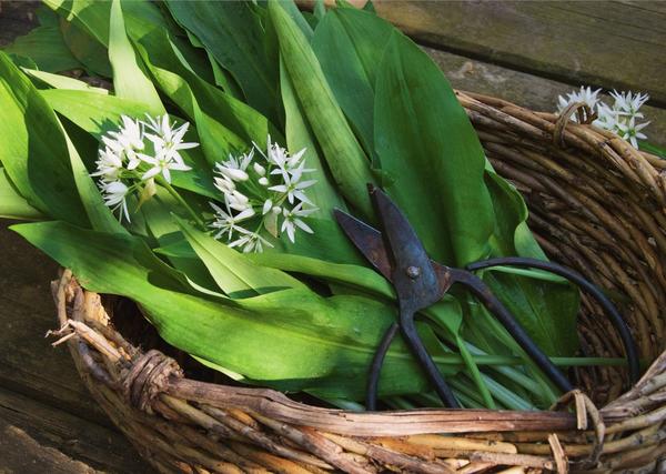 Весной пахнет!