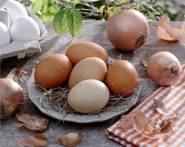 Пасхальные яйца: как покрасить и украсить. Краски и узоры из овощей, трав, листьев и ягод