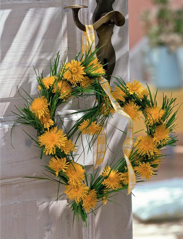 Добро пожаловать в страну одуванчиков!