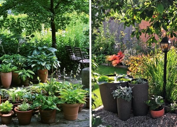 Как сделать сад своими руками: 7 фотосоветов — gkhyarovoe.ru