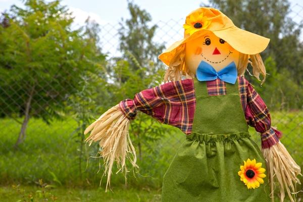 Пугало огородное