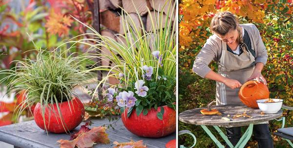 Слева: кашпо для осоки, аира злакового и анютиных глазок. Справа: внутреннюю часть плода проще всего извлечь обычной ложкой