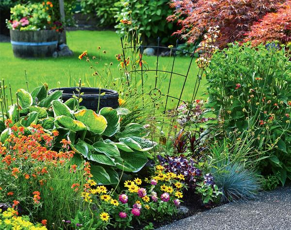 Ленивый сад: как сделать сад минимального ухода, что посадить