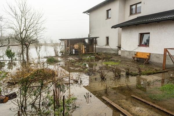 Нужно научиться распознавать все подсказки растений