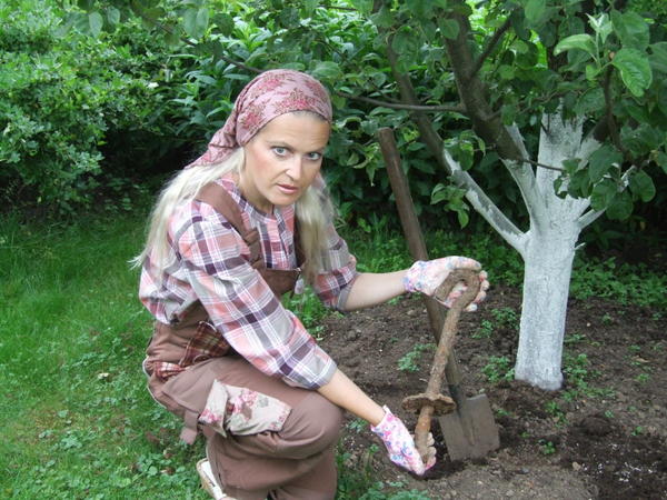 Ничего не расти может тогда, когда в почве под корнями находится крупный металлический предмет