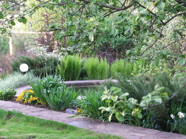 Водоём многое даёт саду