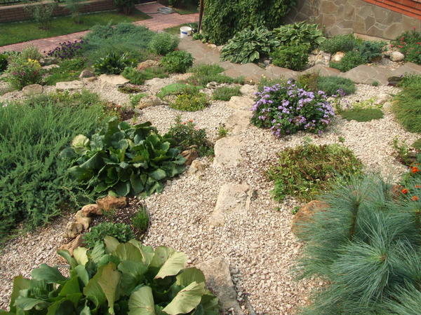 Альпийская горка решает проблемы и других растений