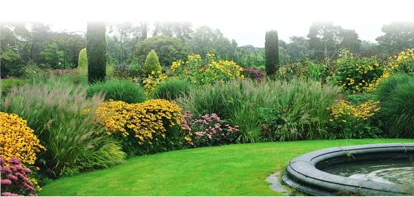 На газонах злаки эффектно смотрятся в садовых модулях или в куртинах