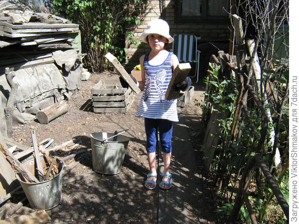 Внучка Даша на заготовке дров.