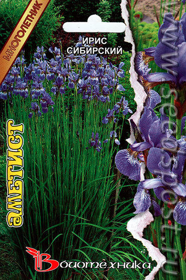 биотехника2