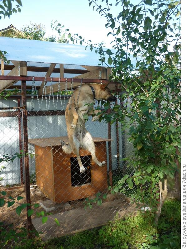 Готов ползти по сетке, чтобы вырваться на улицу.