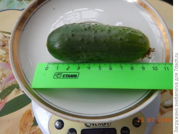 10см