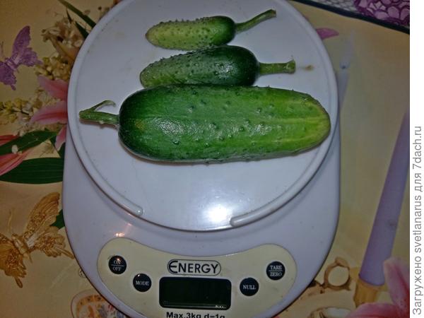 103гр