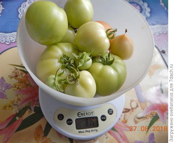 875гр
