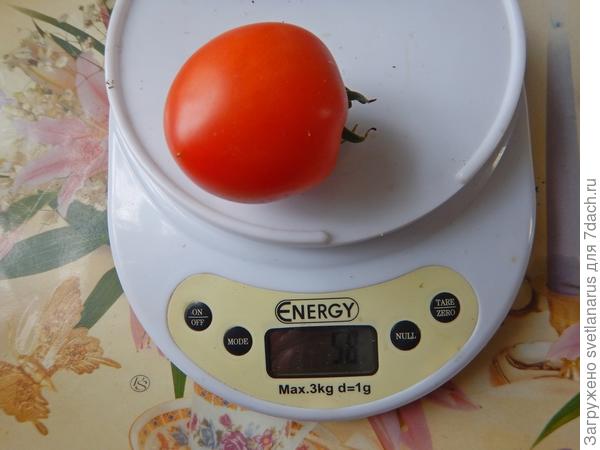 58гр