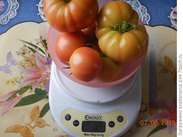 789гр
