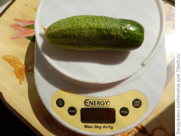 59гр