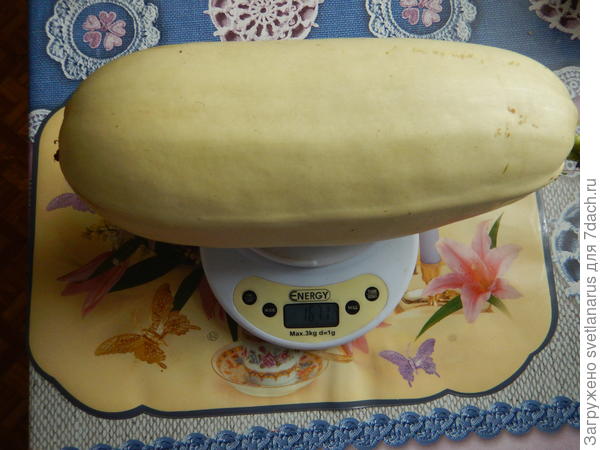 1671гр