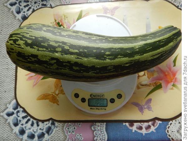 1000гр