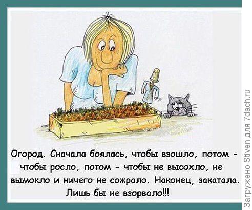 Вечные огородные проблеммы