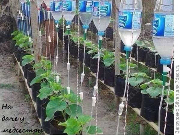 Капельный полив