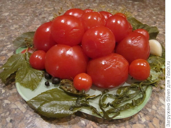 Помидоры из банки