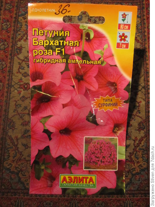 Семена петунии