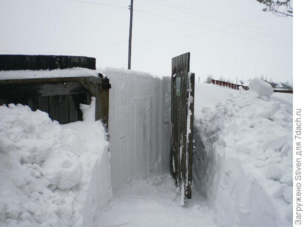 Хорошо в деревне зимой!