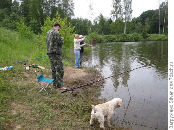 Прекрасная природа Прекрасная природа