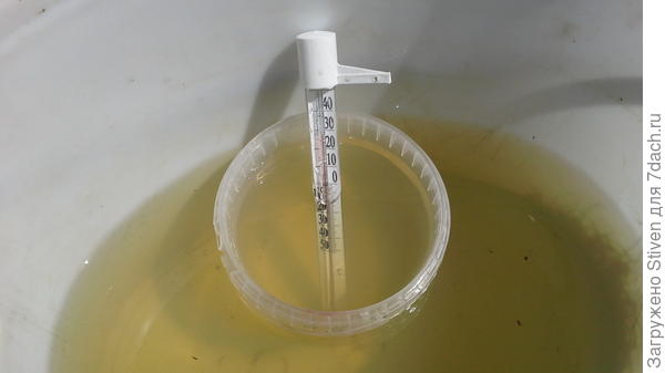Полила теплой водой