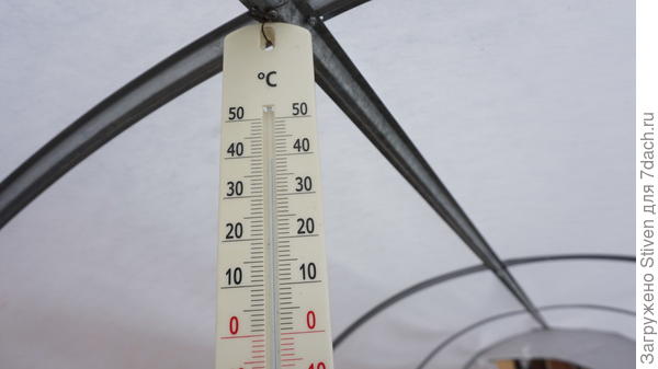 В теплице 40*С, круто