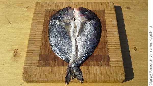 Рыба дорадо после разделки