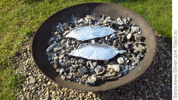 Рыба на углях