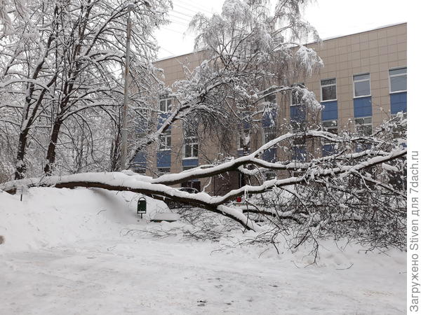 Тяжелый мокрый снег принес убытки людям, машинам...