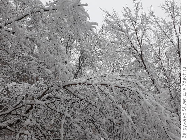 Красиво, но не хватает солнца