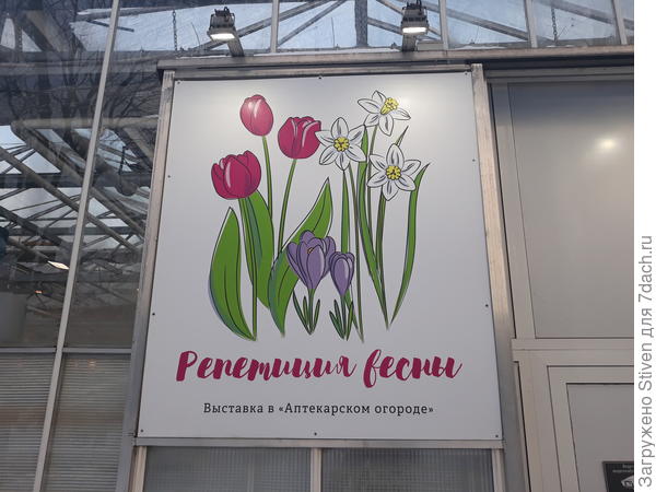 Афиша выставки цветов