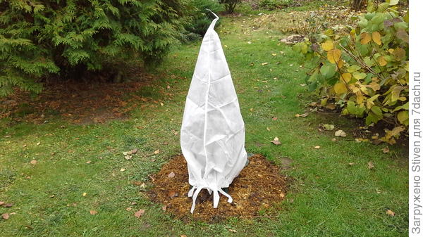 Вот такой домик для розы получился