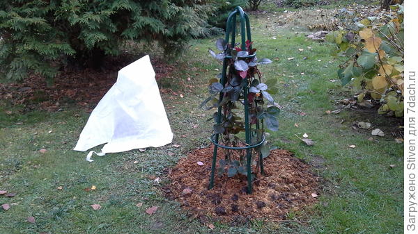 Сначала поставлю часть конструкции арки, а потом надену чехол остроугольный h - 1,0 м