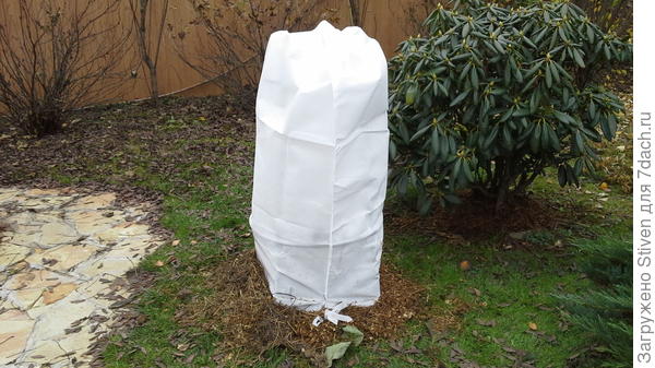 Все очень - культурно!